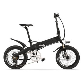 랑케레이시 G660 S 접이식 전기자전거 20인치 스포크휠500W 48V13.4A (기계식브레이크) 관부가세포함