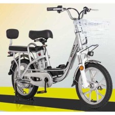 전기 자전거 2인 데이트 경량 리튬 배터리 성인용